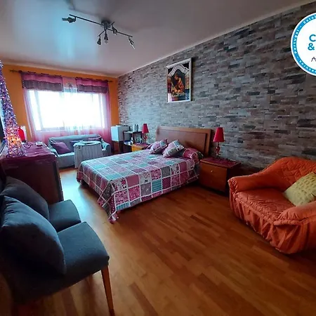 Проживание в семье Nelocas House *