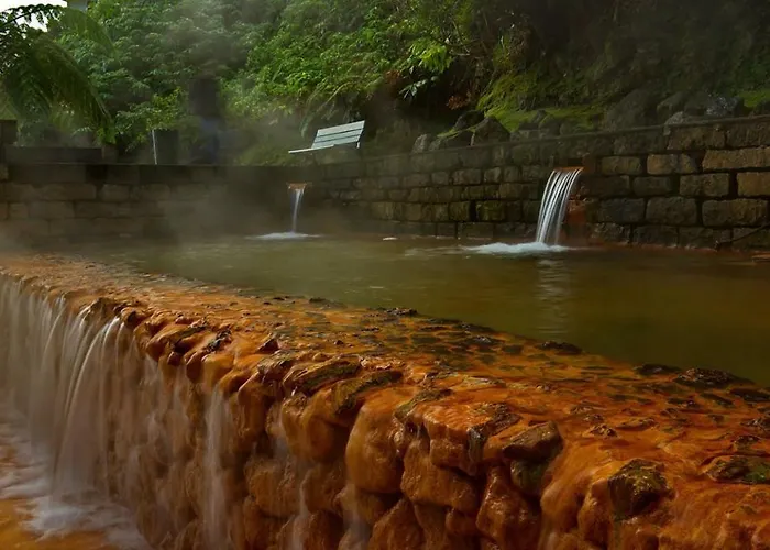 Homestay Nelocas House